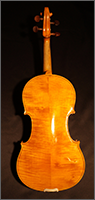 Back of Violin 1